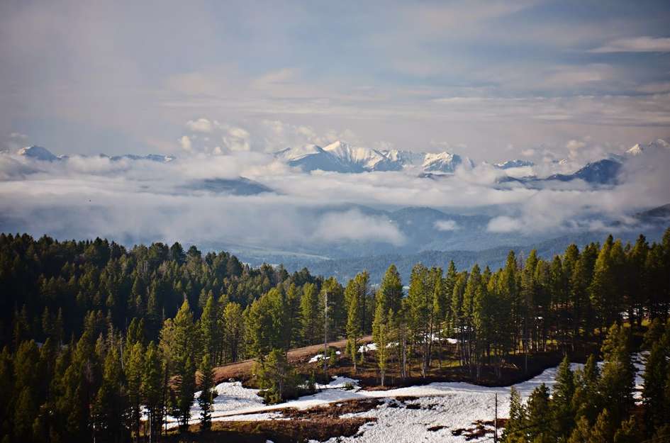 Forest Service Cabins Posts Montana Trail Briefs