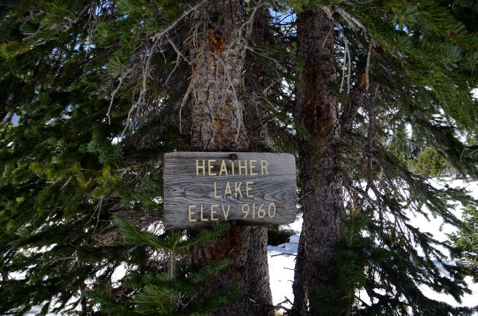 Heather sign