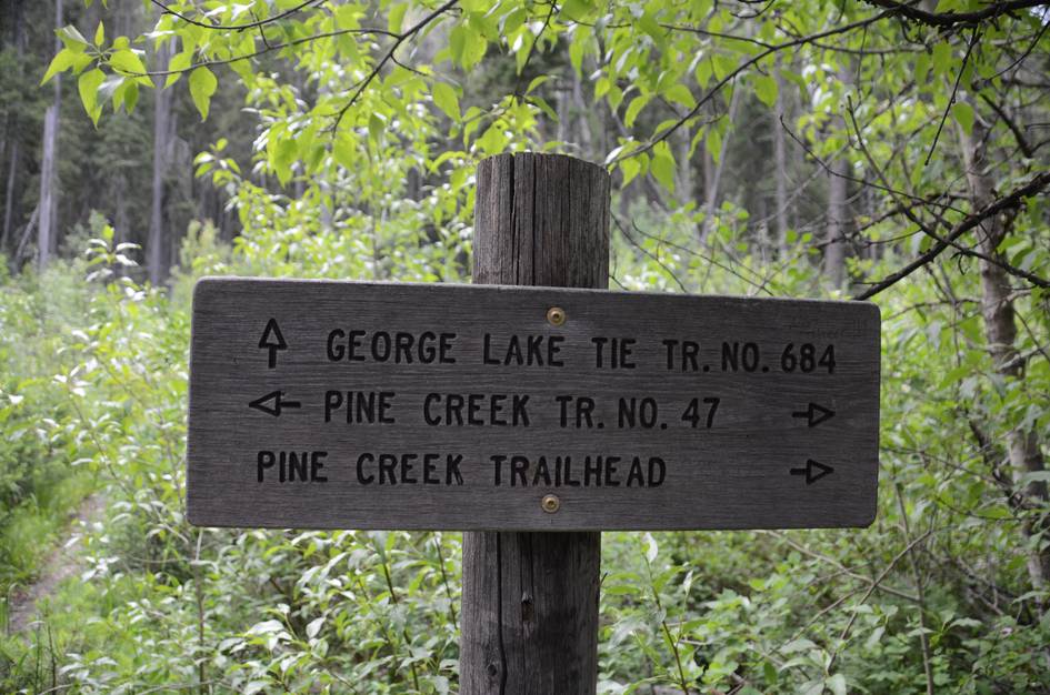 Pinecreek trail sign