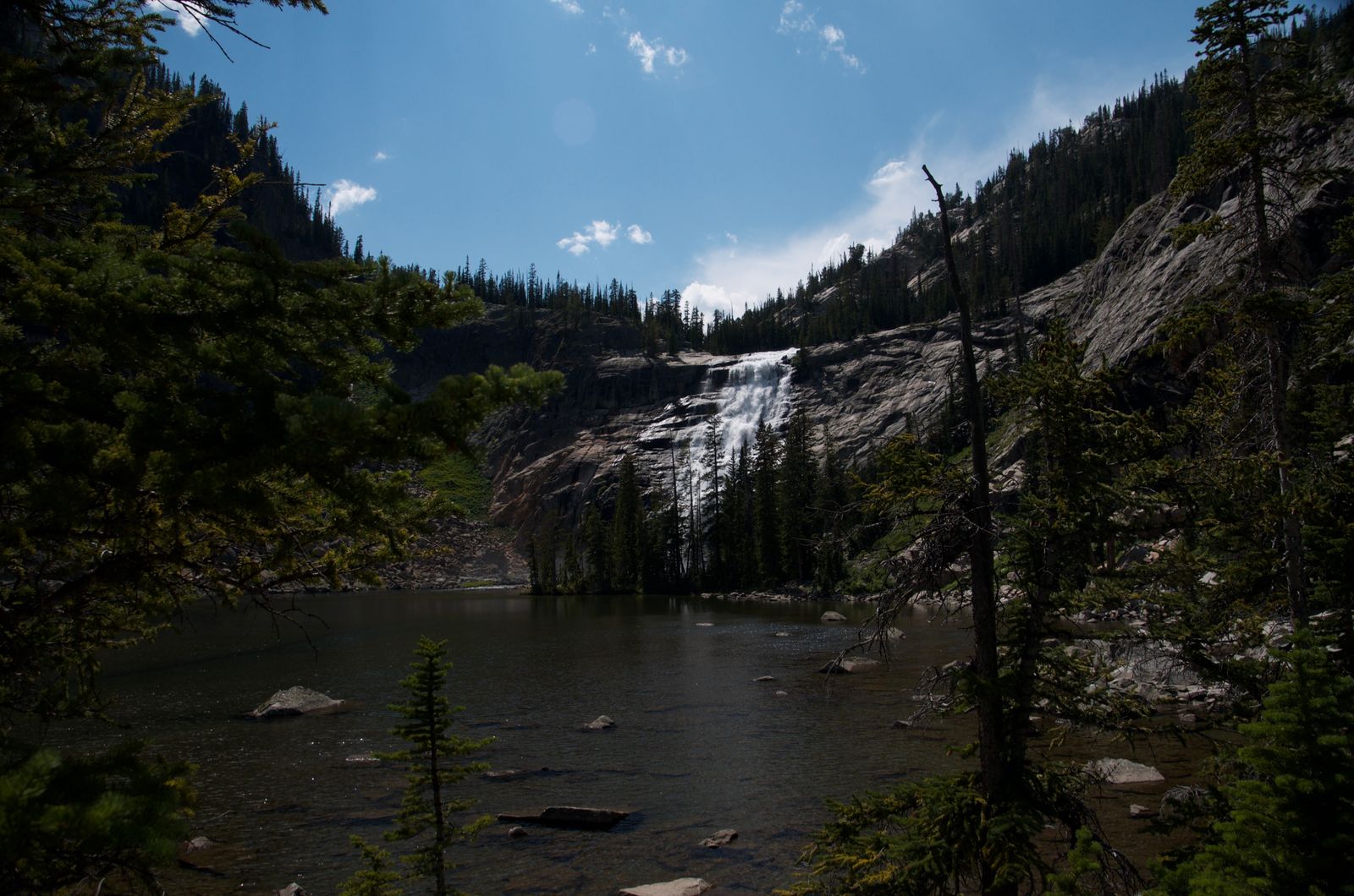 Trail through alpine meadow