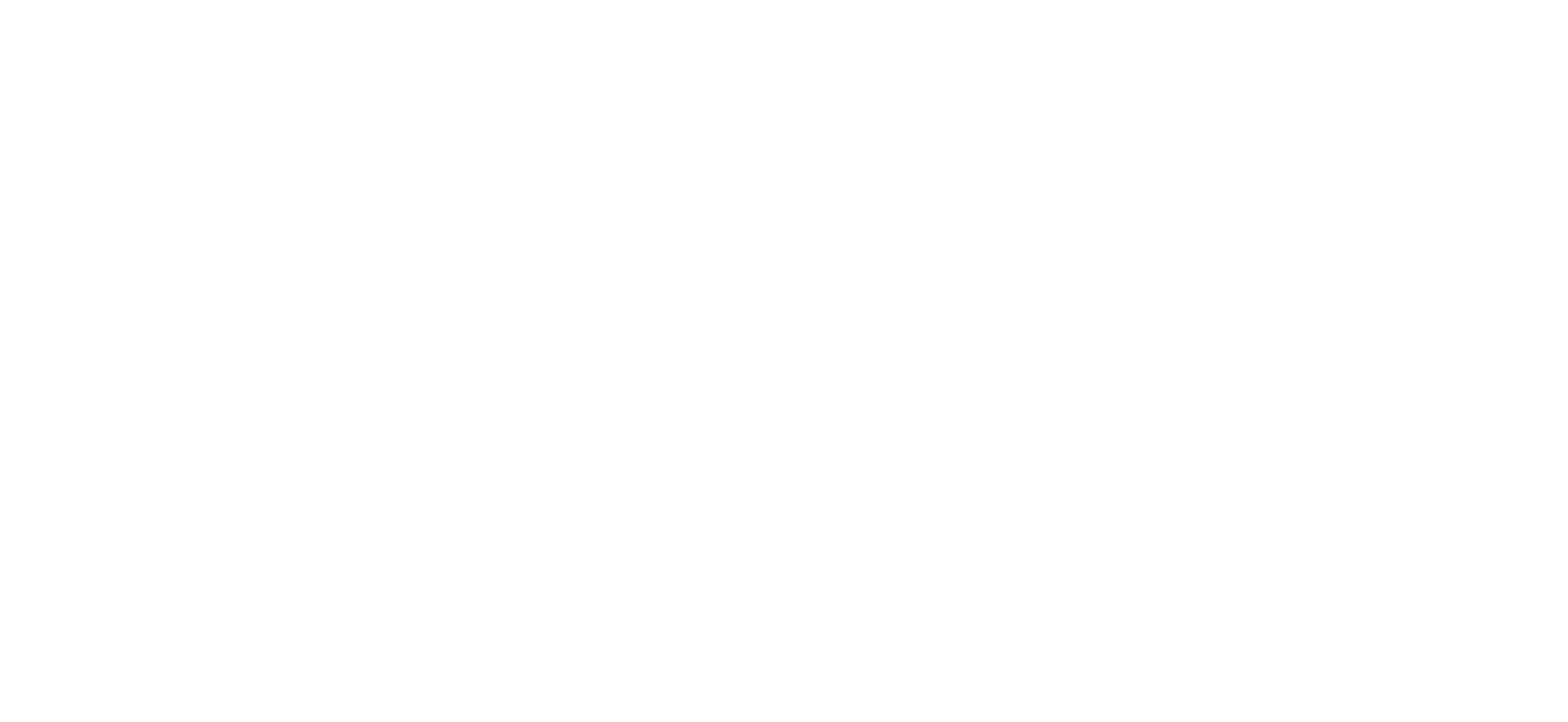Trail briefs logo